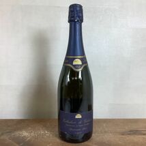 B4019【未開栓古酒】 スパークリングワイン. Brut／ブリュット. 2本まとめ. ■ビュル ドウ ブランケット. フランス. 75cl. 12.5%. 他_画像4