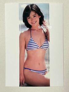 岡田有希子　L判　写真　アイドル　200