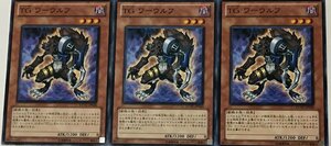 遊戯王 ノーマル 効果モンスター 3枚セット TG ワーウルフ EXVC