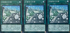 遊戯王 ノーマル 魔法 3枚セット 白薔薇の回廊 20PP