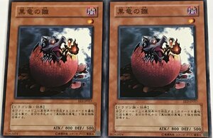 遊戯王 ノーマル 効果モンスター 2枚セット 黒竜の雛 EE3