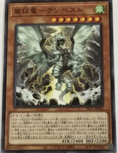 遊戯王 ノーマル 効果モンスター 1枚 嵐征竜-テンペスト SR11