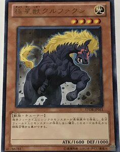 遊戯王 レア 効果モンスター 1枚 極星獣グルファクシ STOR