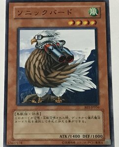 遊戯王 ノーマル 効果モンスター 1枚 ソニックバード BE1