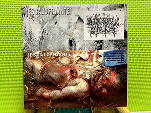 Nyctophobic Entrails Massacre split 7インチ アナログ レコード グラインドコア ノイズグラインド noise grind nunwhore commando gut