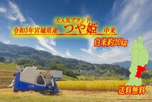 大人気つや姫ブランド米!!令和5年産　宮城県産　つや姫中米　白米約20ｋｇ_画像1