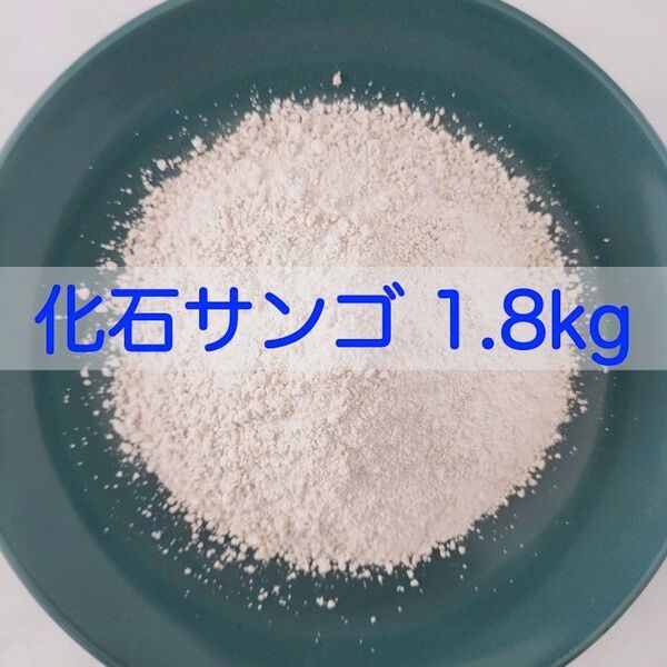 【送料無料】アクアリウム用 化石サンゴ1.8kg 水質改善 pH調整に メダカ 錦鯉