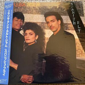リサリサ・アンド・カルトジャム　　　　　　　　　　【美品】国内盤LPレコード