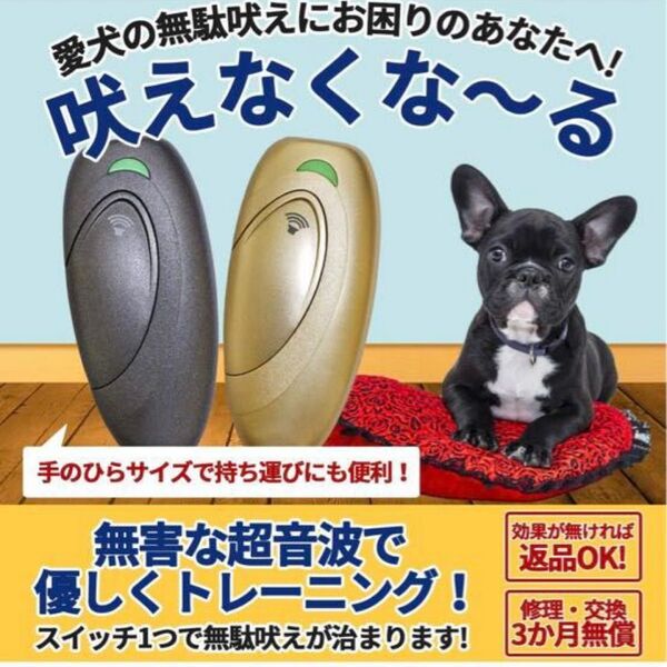 吠えなくな〜る 無駄吠えトレーニング