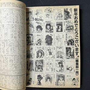 N300 レモンピープル1986(昭和61)年3月号 池田一成/由井正香/ピンナップ 内山亜紀 安田秀一 竜騎兵 阿乱霊 千之ナイフ 谷口敬 芝刈正雄の画像7