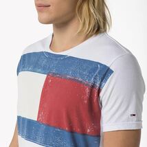 希少 美品 TOMMY HILFIGER DENIM トミーヒルフィガー デニム かすれ加工 フラッグロゴ Tシャツ M 白 ホワイト 赤 レッド 紺 ネイビー ロゴ_画像2