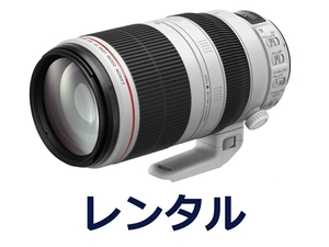 【レンタル6日間】Canon EF100-400mm F4.5-5.6L IS II USM