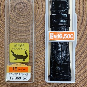 クロコダイル　ワニ革　19㎜　19ミリ　バンド　ベルト　黒　バネ棒付　ステンレス美錠　￥16,500(税込)