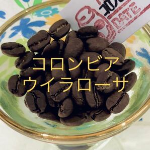 ★ Qグレードコーヒー豆 500g コロンビア スプレモ ウイラ ローサ Star Beans YouCoffeeの画像1