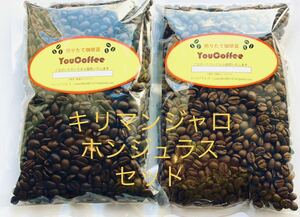 キリマンジャロ タンザニAA 180g ホンジュラス HG 180g YouCoffee 自家焙煎