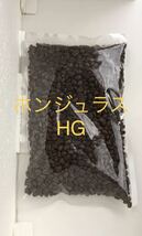 コーヒー豆 コロンビア スプレモ 180g ホンジュラス HG 180g YouCoffee自家焙煎_画像3