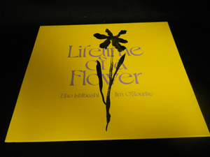 《ノイズ特集:EIKO ISHIBASHI(石橋英子)》/JIM O'ROURKE/LIFETIME OF A FLOWER 