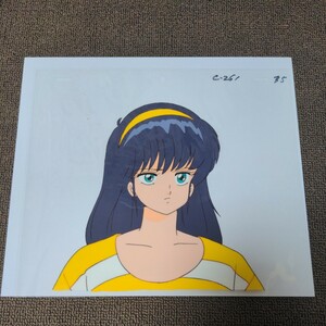 Kimagure Orange Road Cell Bawing Ayukawa Madoka