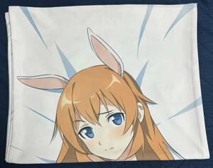  Strike Witches Charlotte *E*i.-ga- Dakimakura cover regular goods breaking the seal goods curtain soul 