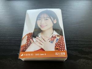 ☆送料無料☆乃木坂４６ 北川悠理【まとめ大量】生写真ダブり無し１１０枚セット【コンプ３５セット】