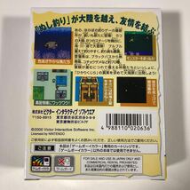 【新品未開封】ゲームボーイカラー ソフト GBC 『ぬし釣りアドベンチャー　カイトの冒険』レトロゲーム　ビクター　任天堂　Nintendo _画像6