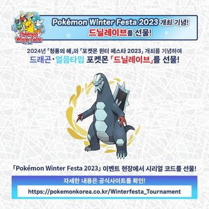 【韓国版】ポケットモンスター　セグレイブ　シリアルコード　1セット　winter festa