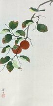［模写］ 龍涯「柿」絹本 花鳥図 鳥獣 日本画 絵画 日本美術 掛軸 共箱 人が書いた物 H022018_画像6