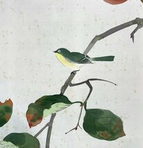 ［模写］ 龍涯「柿」絹本 花鳥図 鳥獣 日本画 絵画 日本美術 掛軸 共箱 人が書いた物 H022018_画像8