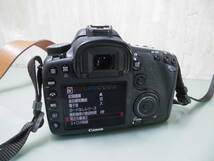 Canon キャノン EOS 7D TAMRON SP 17-50mm F2.8 XR DiII SPデジタル一眼レフ カメラ_画像7