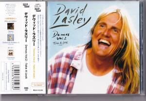 【AOR】DAVID LASLEY／DEMOS VOL.2-TAKE A LOOK【帯付き国内盤】デヴィッド・ラズリー◆COOL SOUND (クール・サウンド)