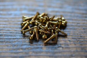 NO.0081 old minus tree screw brass circle head futoshi .13mm×2.7mm 4ps.@SET for searching language -A50g antique Vintage old tool brass metallic material vacuum tube radio 