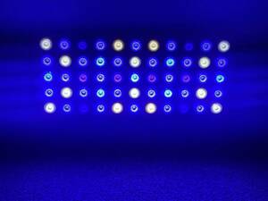 2台セット LEDライト水槽照明 PSE技術基準適合 プリズムレンズ サンゴ 海水 調光機能付き 165W ブラックボックス