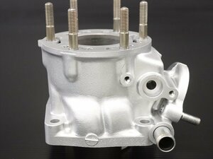 激安！NSR250R SP純正乾式用BシリンダーAssy/リビルド品②！MC28/1994～/94SPロスマンズカラー