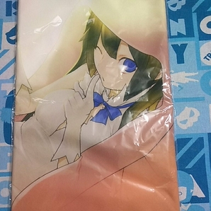 ダンジョンに出会いを求めるのは間違っているだろうか アニメイト限定セット スポーツタオル ヘスティア 未開封 ダンまち ヤスダスズヒト