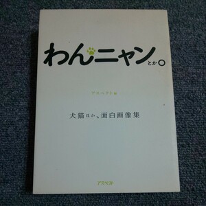 わんニャンとか。　犬猫ほか、面白画像集 アスペクト／編