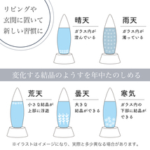 ストームグラス 気象計 天気予報 インテリア コンパクト おしゃれ###気象計YGW1915B###_画像3