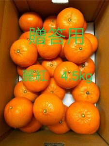 贈答用　麗紅LL 4.5kg 有田みかん　和歌山県産　せとか姉妹品種　農家直送