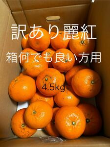 訳あり麗紅 LL-L 4.5kg送料無料　有田みかん　和歌山県産　せとか姉妹品種　レイコウ