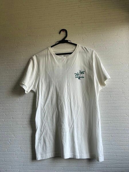 Patagonia tシャツ