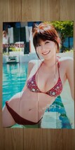 原幹恵　約84㎝×約56㎝　片面ピンナップ　ポスター　水着　漫画アクション　(0247)_画像1