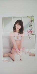 宮脇咲良　約50㎝×約21㎝　片面ピンナップ　ポスター　水着　週刊少年チャンピオン　(0280)