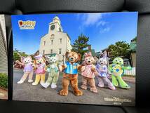 ディズニー シー ダッフィー 実写 ぬいぐるみ ランド TDS TDL ミッキー ４０周年 スペシャルフォトファン　バケパ　グランドフィナーレ _画像3