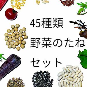 野菜の種　全45種類！1年中蒔ける　オールシーズン　超バリエーションセット固定種