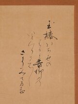 【模写】吉】10238 花押あり 作者不明 椿画賛 書 和歌 茶掛け 茶道具 古筆 掛軸 掛け軸 骨董品_画像4