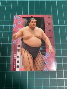 BBM2024大相撲カード 40 狼雅外喜義 