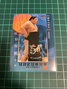 BBM2024大相撲カード 76 伯桜鵬哲也 