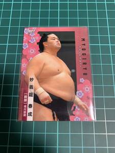 BBM2024大相撲カード 26 妙義龍 泰成 