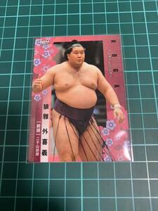 BBM2024大相撲カード 40 狼雅外喜義 