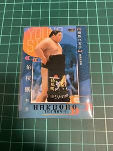 BBM2024大相撲カード 76 伯桜鵬哲也 