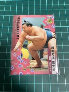 BBM2024大相撲カード 20 湘南乃海桃太郎 